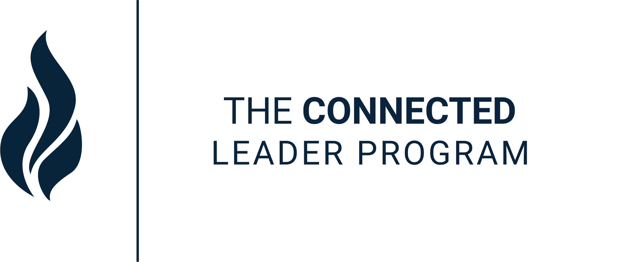 The C-Suite Capacity Intensive